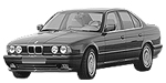 BMW E34 P1209 Fault Code